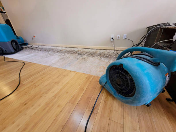 Professional Sewage Cleanup technician working in Represa, CA